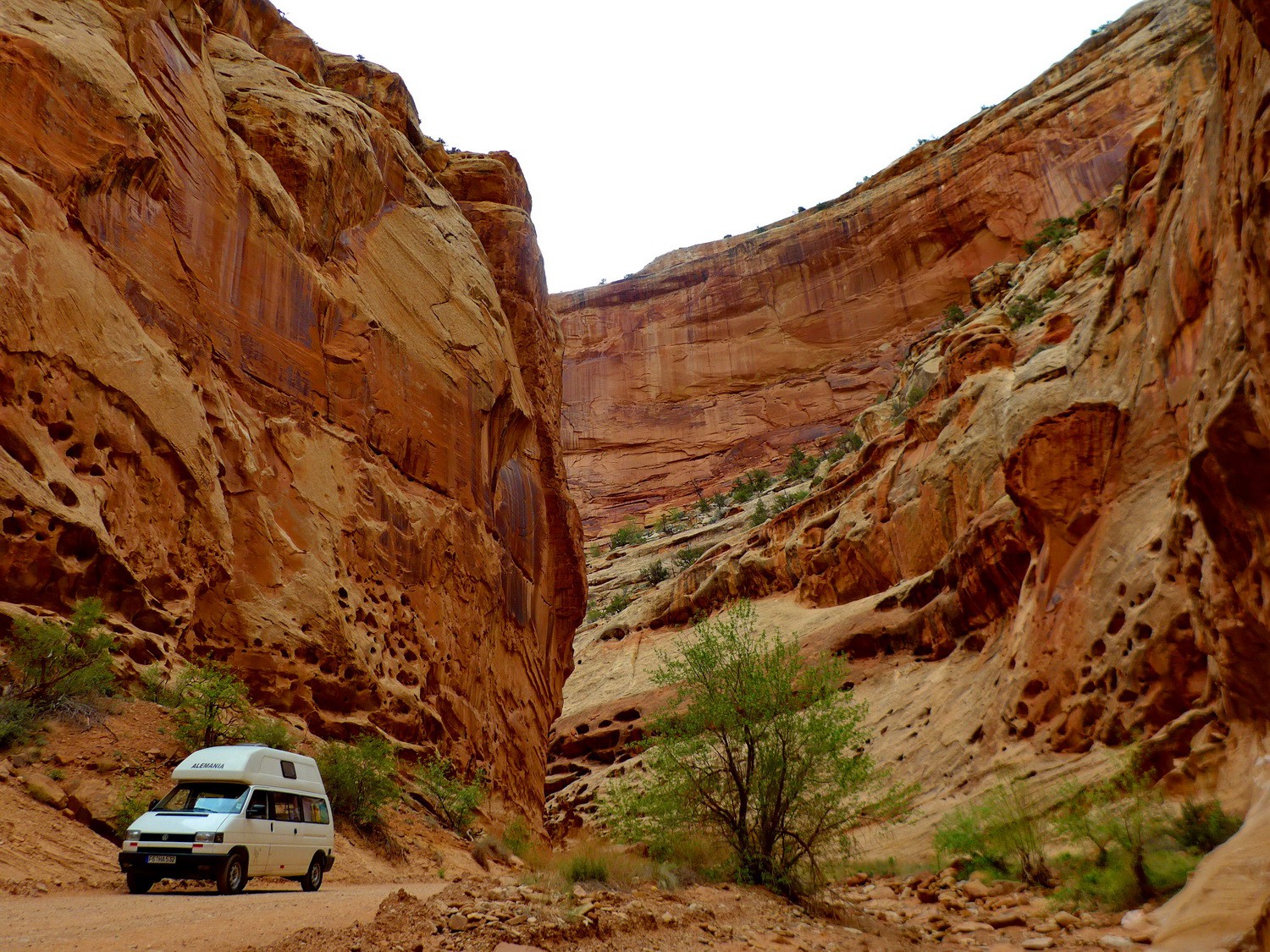 Our car in the Capitol Gorge